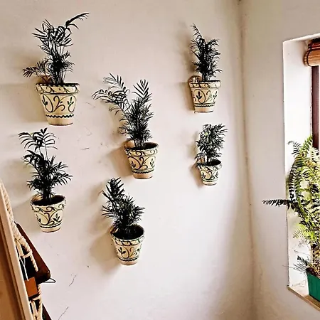 La Plaza De Conil * Conil De La Frontera