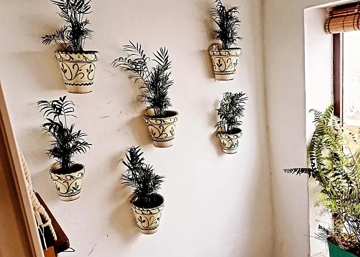 La Plaza De Conil * Conil De La Frontera